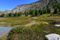 Švýcarsko - Walliské Alpy: údolí potoka Findelbach