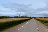 Nizozemsko: silnice
