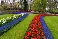 Nizozemsko: Keukenhof - holandská květinová zahrada