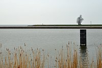 Nizozemsko: socha na hrázi u města Lelystad