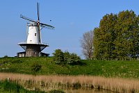 Nizozemsko: Veere – větrný mlýn