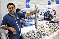 SAE - Dubaj: rybí trh Waterfront Market