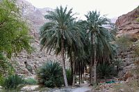Omán: vádí Shab
