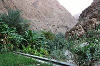 Omán: vádí Shab