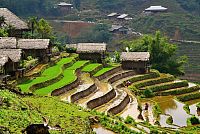 Severní Vietnam (6): Oblast Sa Pả (Sapa) – vesnice etnických menšin, rýžové terasy