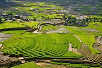 Severní Vietnam: oblast Mu Cang Chai - rýžové terasy v údolí Lim Mong