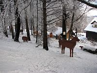 Bílé Karpaty: chata Jana na turistické cestě k Velkému Lopeníku od Mikulčina vrchu