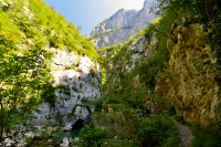 Černá Hora: Kaňon řeky Mrtvica