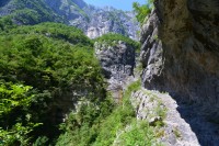Černá Hora (2): Kaňon řeky Mrtvice