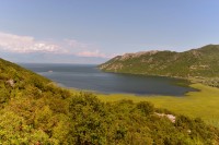Černá Hora: Skadarské jezero z jižní strany
