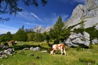 Rakousko - Dachstein: Gosaukamm