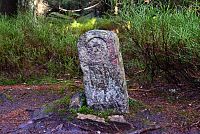 Rychlebské hory: Smrk - starý hraniční kámen na moravsko-slezské hranici