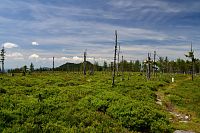 Šumava (1): Hřebenovka Ostrý – Svaroh