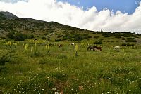Severní Makedonie: NP Mavrovo, pohoří Bistra cestou do Galičniku