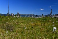 Krkonoše: na Černohorském rašeliništi kvete suchopýr