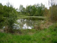Rybníky u zaniklé obce Vítkov