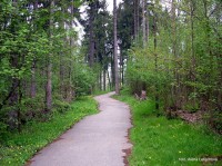 Fota z procházek v Orlovském lesoparku.