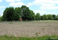 Přes pole od kapličky se nachází hřbitov- Kaplička Pustyňa - Starý Bohumín - 26.5.2012