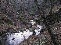 Mohelnička - přírodní rezervace