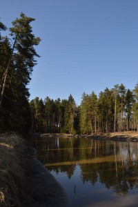 rybník Šanovec - Hradecké lesy