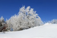 Přírodní park Východní Krušné hory v zimě