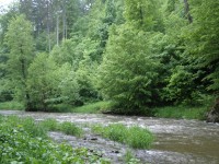 Spálov, Klokočov, řeka Odra