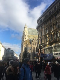 Katedrála Stephansdom ve Vídni