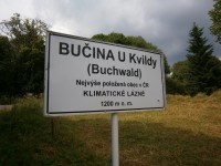 Bučina u Kvildy (Buchwald)