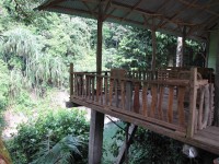 Ubytování v džungli