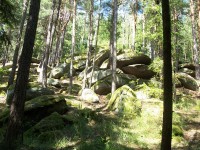 Skalnatý les u Břežan