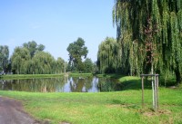 pár kroků od kaple je rybník Kachník