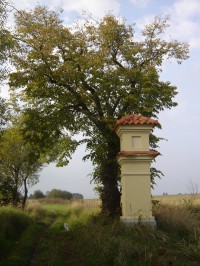 Boží muka u Haškovcovy Lhoty