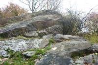 Chráněné naleziště skalin „Starkočský lom“ byl za předmnichovské republiky lom, kde se těžil kámen pro výstavbu okresních cest na čáslavsku.