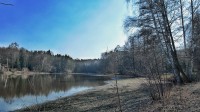 pravý břeh rybníka Pelíšek