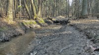 Brložský potok vtékající do rybníka Pelíšek