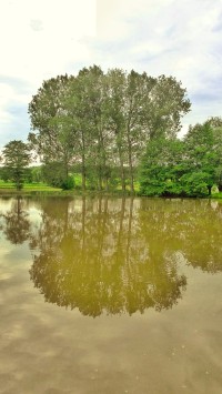 rybník v Kozašicích - pohled od obce