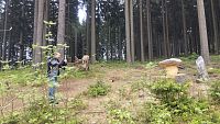 podhrádí hrad Kašperk