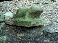 kamenná žába před studánkou