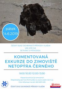 plakát k akci Setkání se zimovištěm netopýrů v hrázi vodní nádrže Švihov