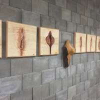 umění dřeva a erotiky