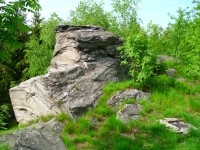 Pozůstatky skalek zaniklé osady Ferdinandov u Rýmařova