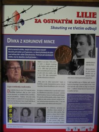 Vězněná skautka Jindřiška Synková-dívka z korunové mince sázející lipový stonek