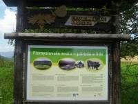 Přemyslovské sedlo 