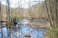 Okruh Kokořínskem (Sedlec - Kokořínský důl - Ráj - Sedlec)