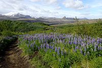 Island pod stanem (4) - z údolí Thórsmórk po treku Laugavegur
