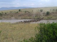 Great Kenya Wildebeest Migration Safari
