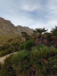 Cami de Cala Boquér