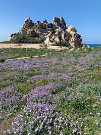 Sardinie- Ze Santa Gallura na Capo Testa