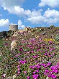 Sardinie- Torre di Longonsardo