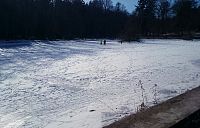 Oborský rybník v zimě.